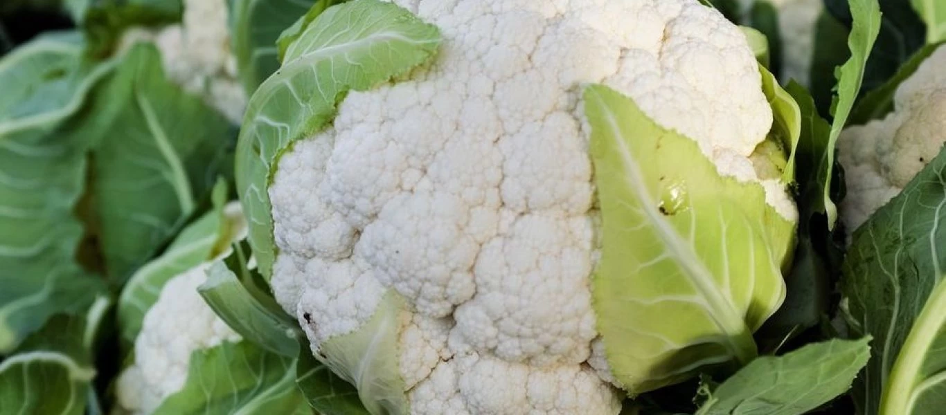 Η τροφή με την αντιφλεγμονώδη δράση που δεν αγαπούν όλοι